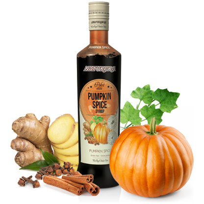 Polot 1882 Syrup Pumpkin Spice
